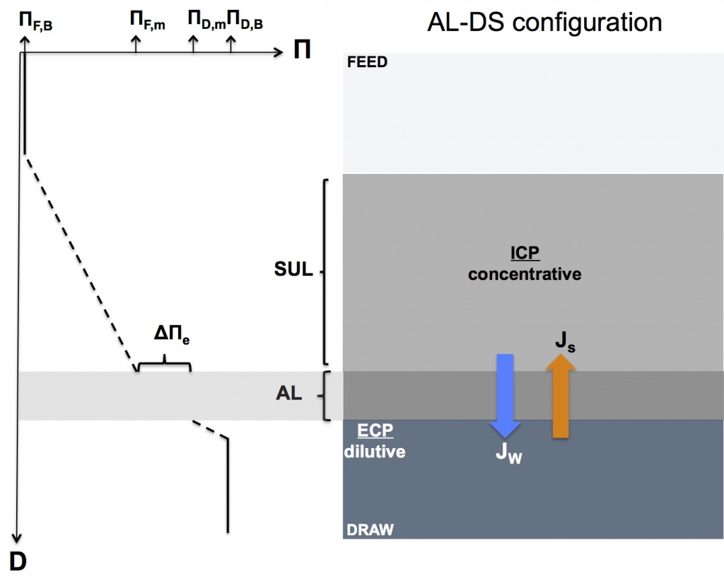 Schematic diagram of ICP and ECP concentration polarization effects in a forward osmosis membrane