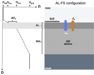 Schematic diagram illustrating concentration polarization in a forward osmosis membrane