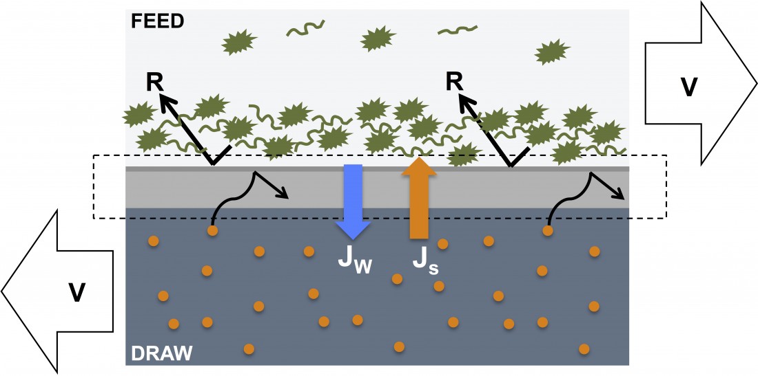 Membrane fouling in forward osmosis processes