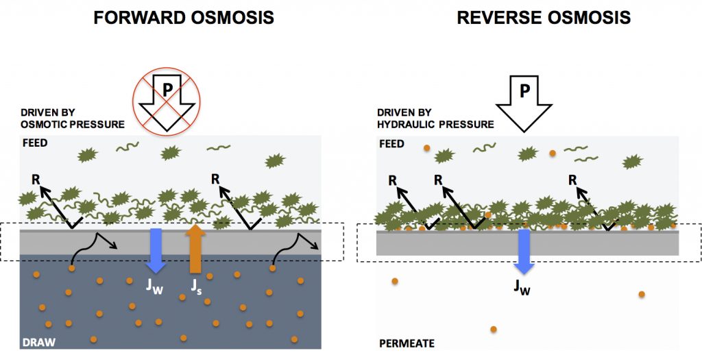 Forward osmosis vs reverse osmosis