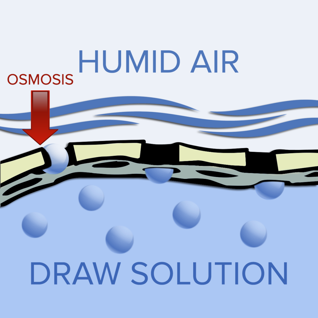 osmotic dehumidification