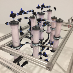 Forward osmosis membrane array